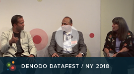 Denodo Datafest 2018 NY