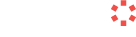 denodo logo