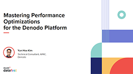 Mastering Data Performance Optimizations for the Denodo Platform
