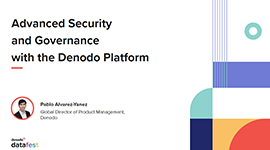 Advanced Data Security and Governance with Denodo Platform