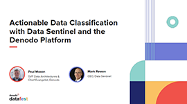 Actionable Data Classification with Data Sentinel and the Denodo Platform
